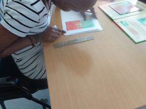 Aluno pinta a bandeira portuguesa