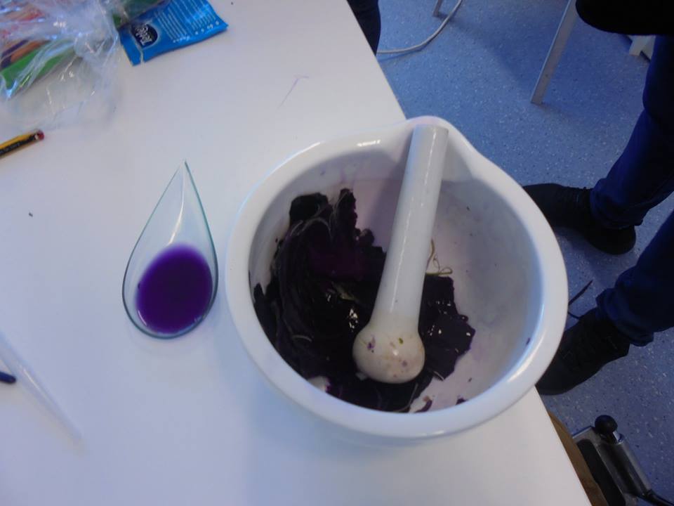 Almofariz com pasta e corante roxo