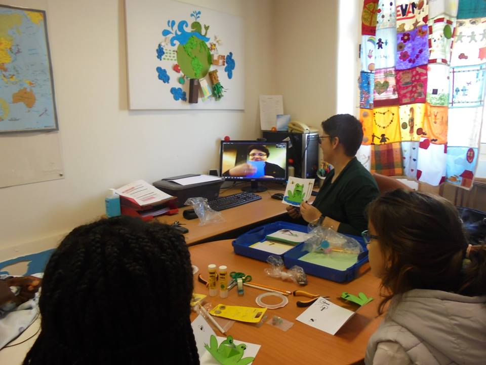 Evelina (videoconferência), professora Sara a mostra um sapo em cartão e alunos