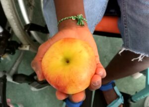 Um aluno mostra a sua maçã e fala sobre ela.