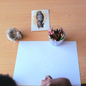 Um aluno desenha, partir de uma imagem realista, uma coruja.