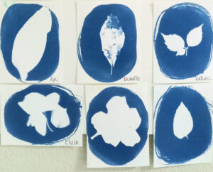 Os trabalhos dos alunos: penas, folhas, flores. O opaco tornou-se branco com contornos azuis.