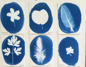 Os trabalhos dos alunos: penas, folhas, flores. O opaco tornou-se branco com contornos azuis.