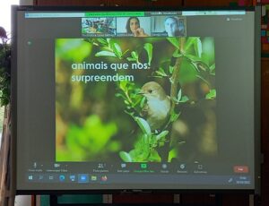 Diapositivo do PPT da Vanda com um passarinho no meio da vegetação.