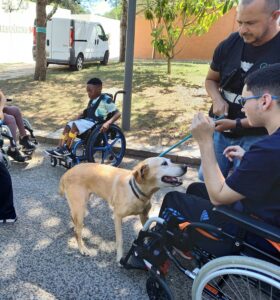 Um dos cães da GNR a passear à volta de um jovem em cadeira de rodas.