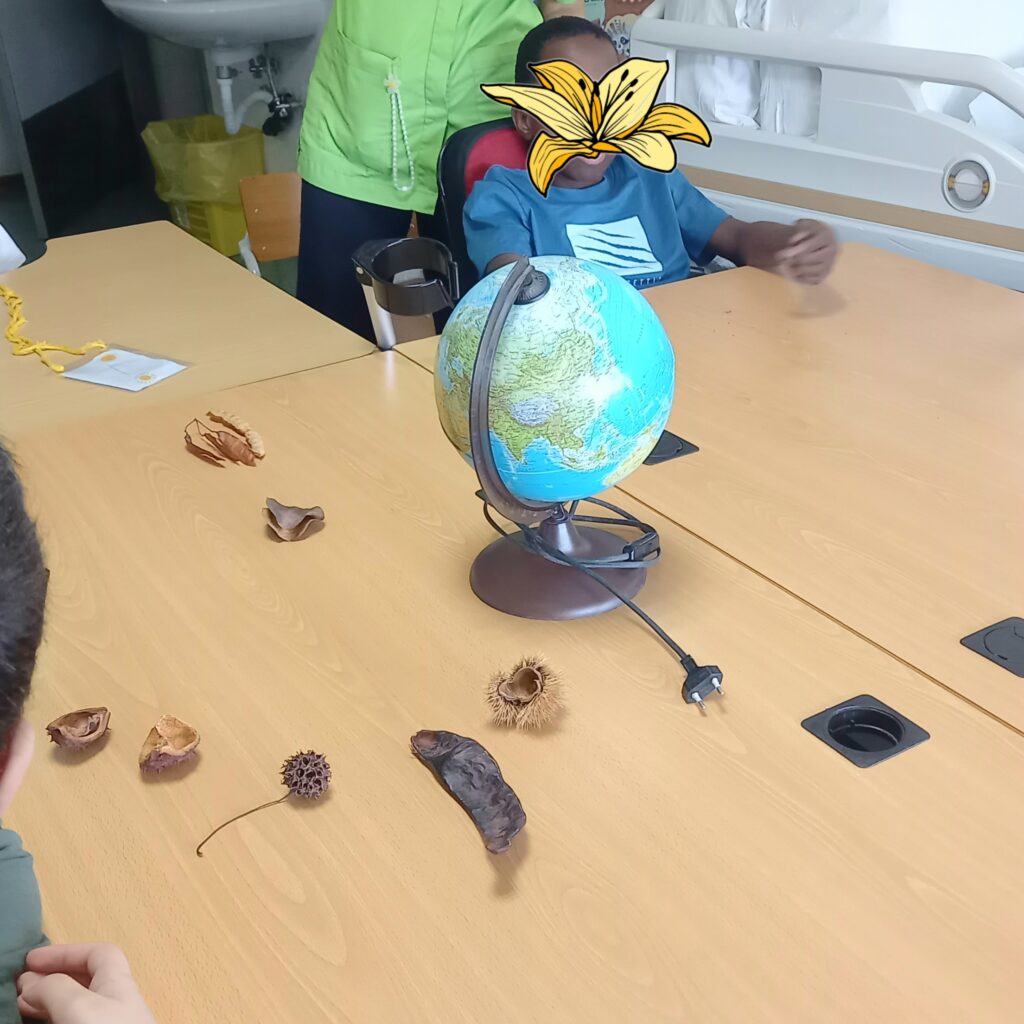 Uma mesa com as mais variadas sementes e um globo terrestre para identificarmos os seus países de origem.