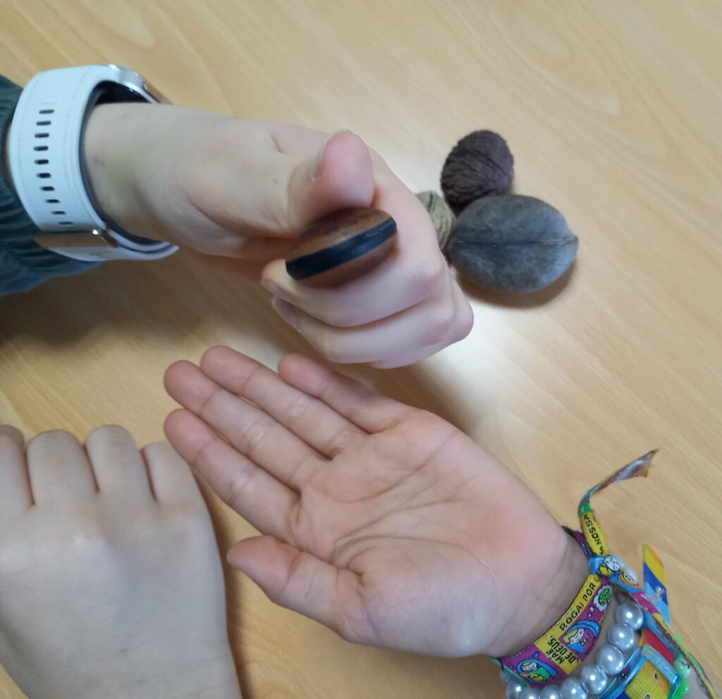 Mãos dos alunos com sementes.