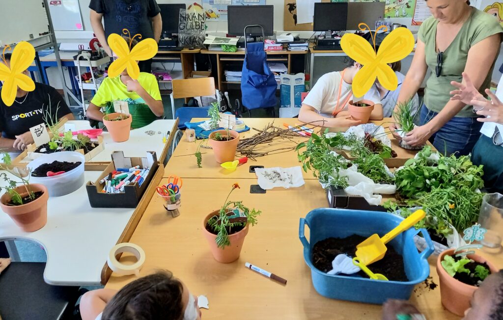 Visão geral da sala com muitas plantas em cima da mesa.