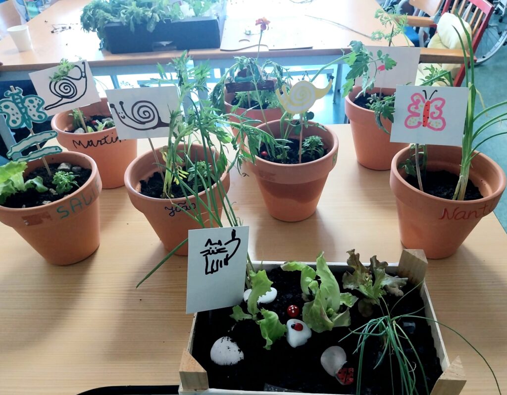 O conjunto de vasos e mini-jardins.