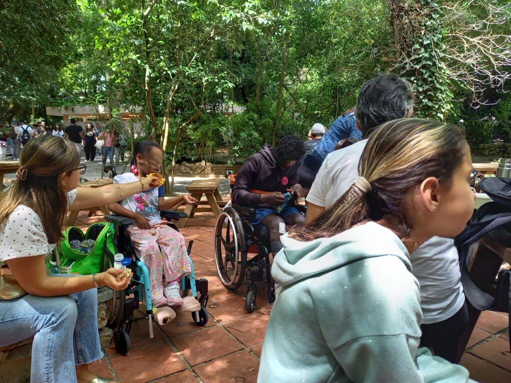 Adultos e crianças junto a zona arborizada